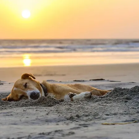 Grosse Strandmuschel - 5-sterne Zwischen Ostsee Und Bodden *